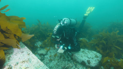 Korea screengrab_1.1.19.jpg