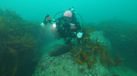 Korea screengrab_1.1.17.jpg