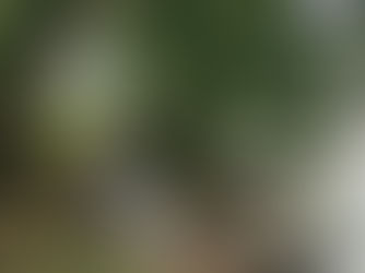 Naturopathie - La Réunion Praticienne Naturopathe - La Réunion