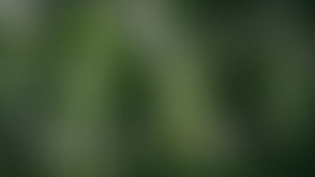 L’intelligence du corps 