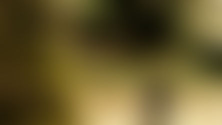 Le pouvoir du vivant 