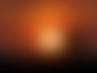 Sclérose en plaques et vitamine D 