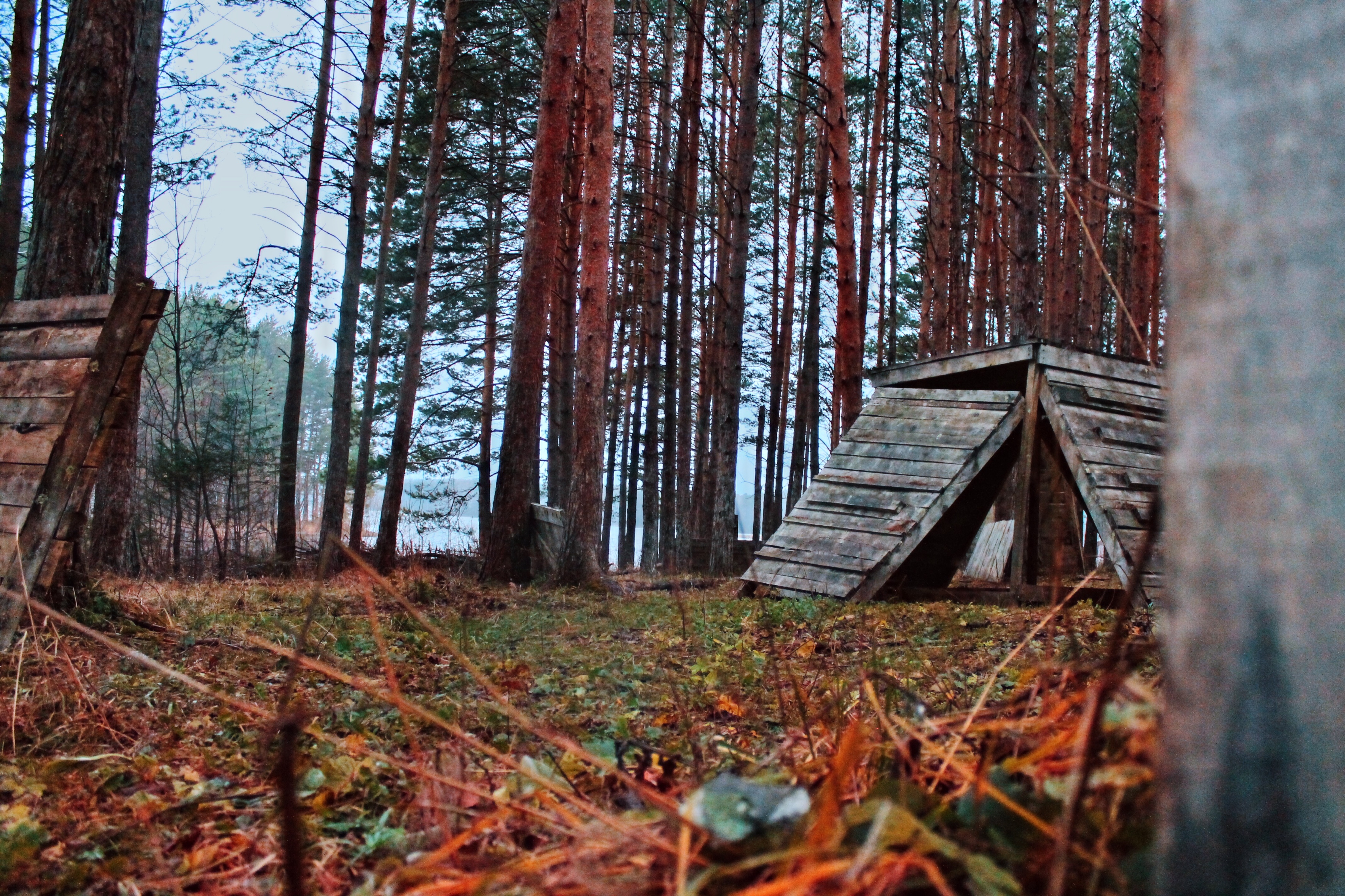 Alamo Первоуральск