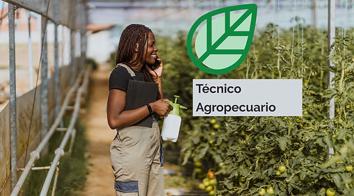 Organic Pesticide Spray_edited_edited.jp