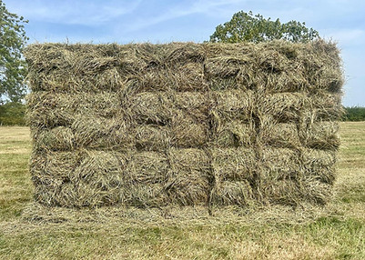 Small Bale Hay