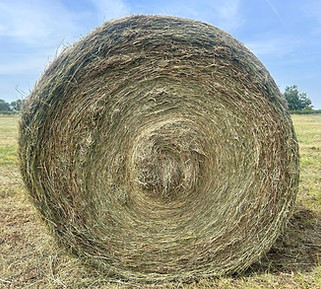 Round Bale Hay