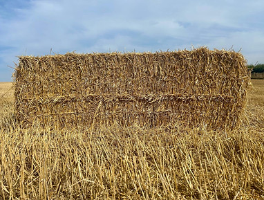 Square Straw Bale