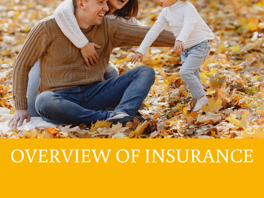 A Quick Look of Insurance before 2025 arrives.