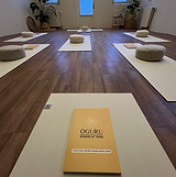 Manual voor de Hatha Yoga Teacher Training