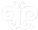 ButterflyWhiteOnWhite.png