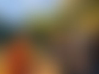 🎊 สวัสดีปีใหม่ 2564 🎊