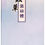 縮圖：蟲草菌絲體