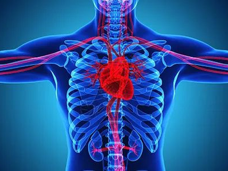 Nature系列重磅綜述:創造性提出心血管衰老的八大標誌!