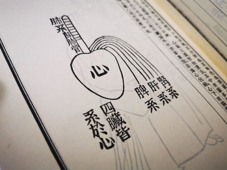 心跳不止,生命不息