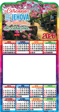 W. REF MINI SALMO 8