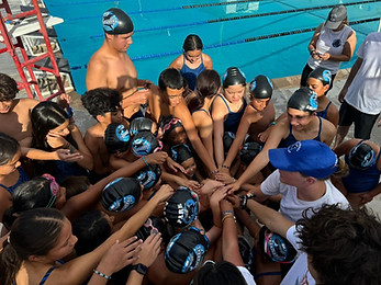 Park Sharks Swim Team