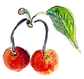 third-annual-cherries-02.png