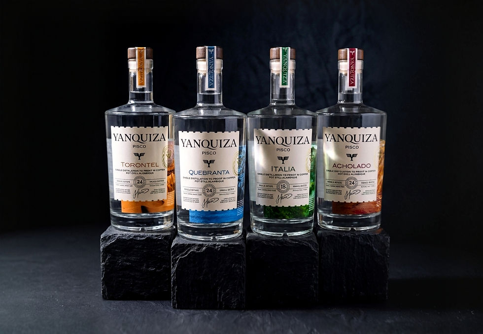 Pisco Quadrant_edited.jpg