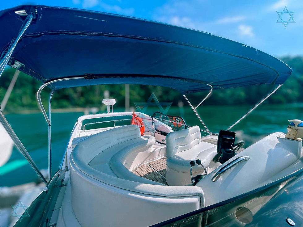 Miniatura: Azimut 460 Full