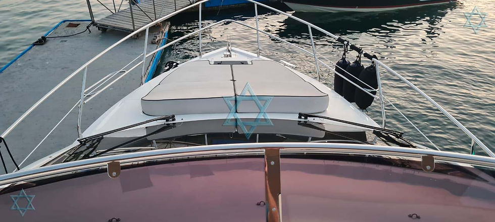 Miniatura: Intermarine 45
