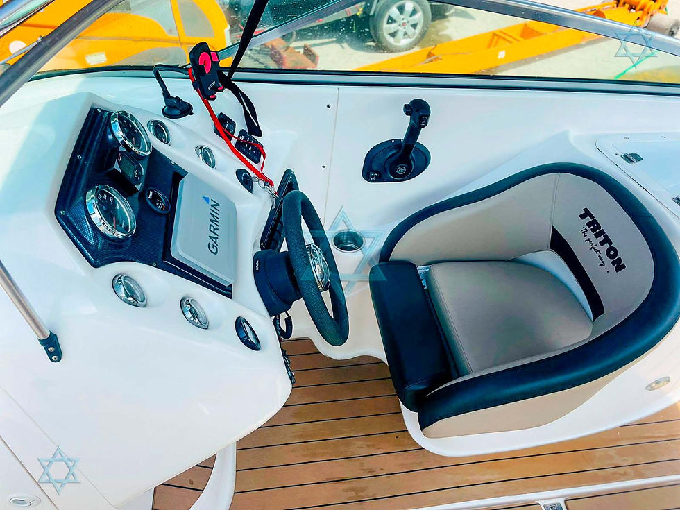 Miniatura: Triton 240