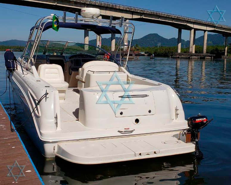 Miniatura: Sea ray amberjack 31.5