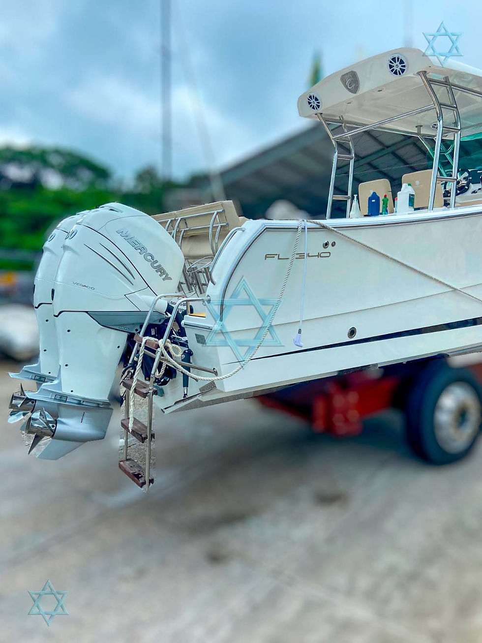 Miniatura: Sedna FL 340