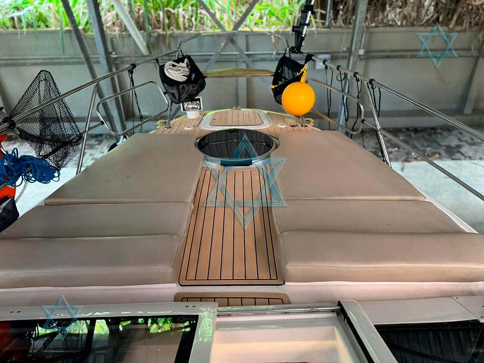 Miniatura: Coral 32