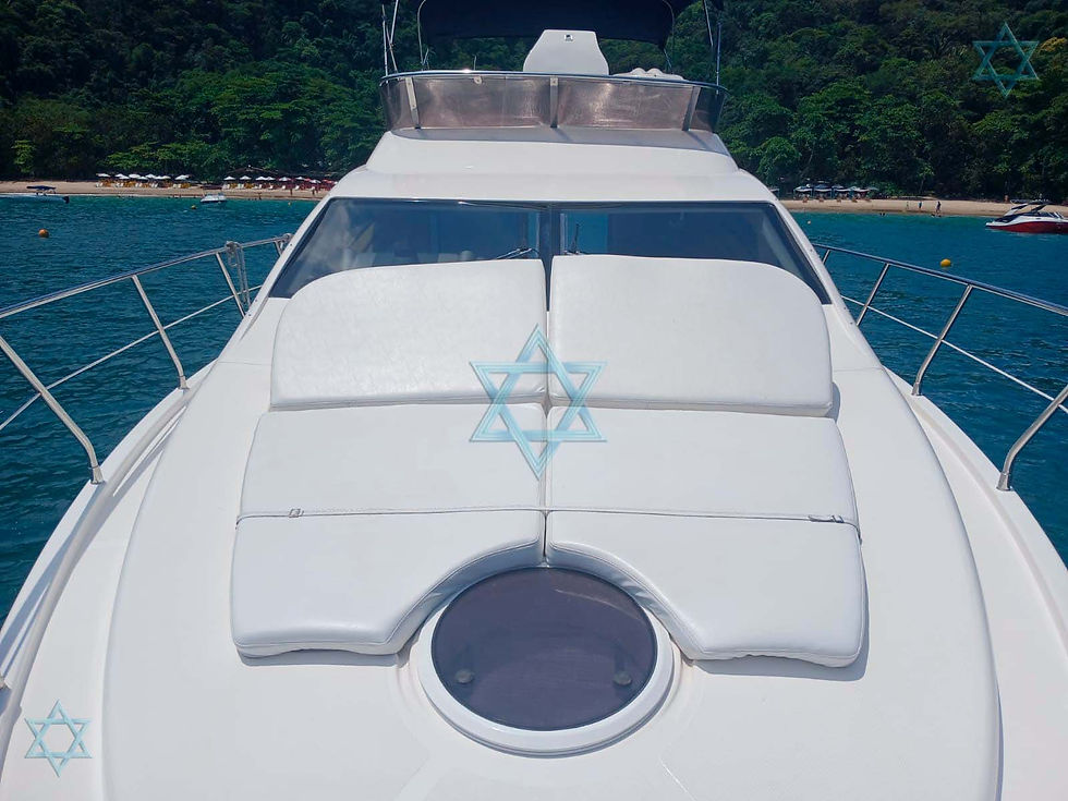 Miniatura: Intermarine 480