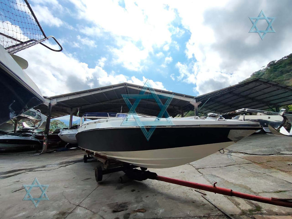 Miniatura: Magnum 39