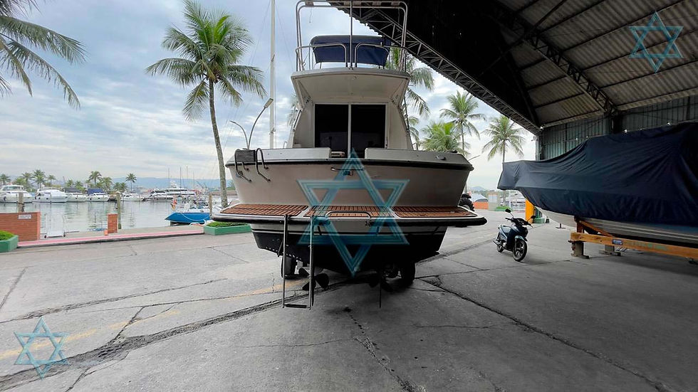 Miniatura: Oceanic 36