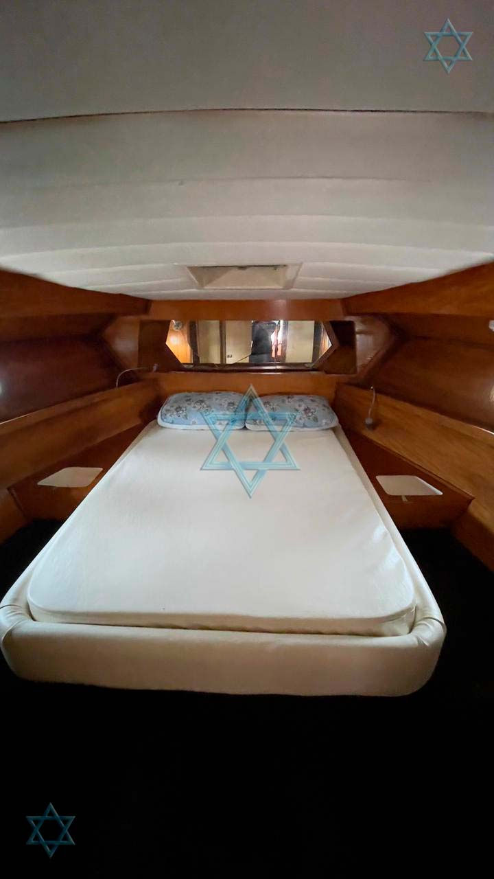 Miniatura: Oceanic 36