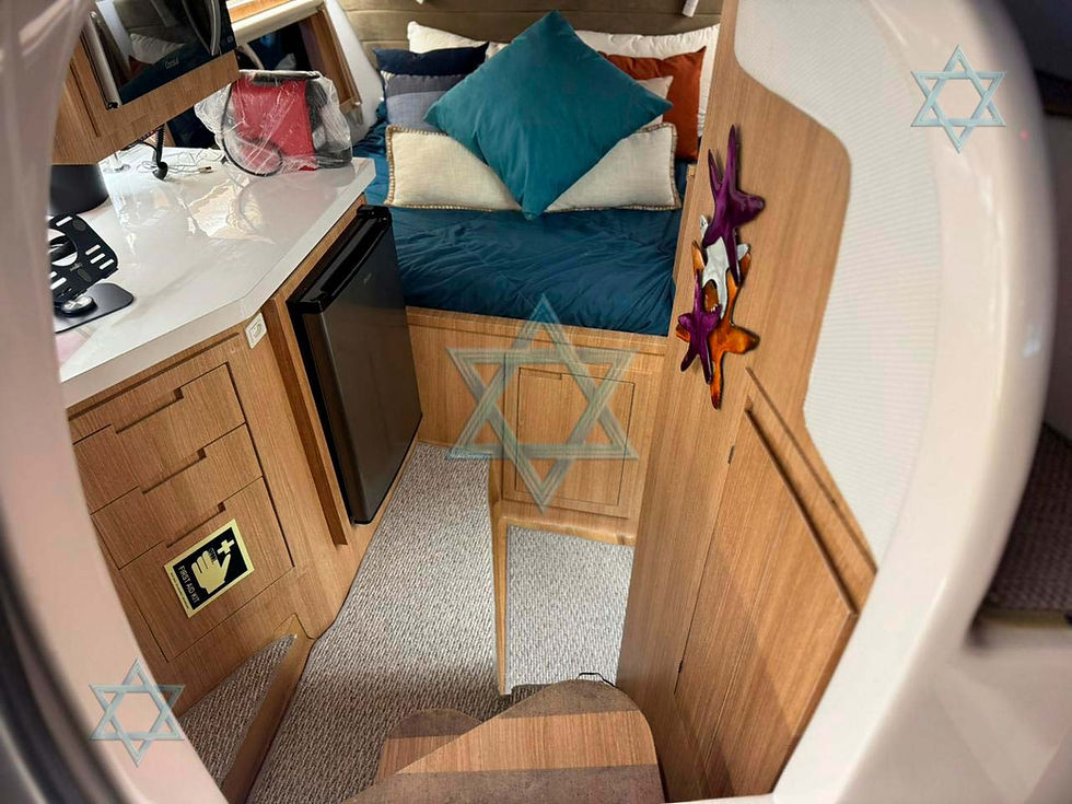 Miniatura: Coral 32