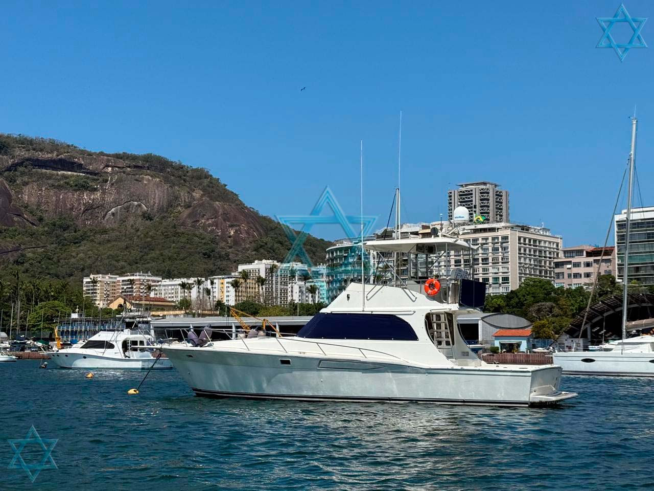 Mares 45