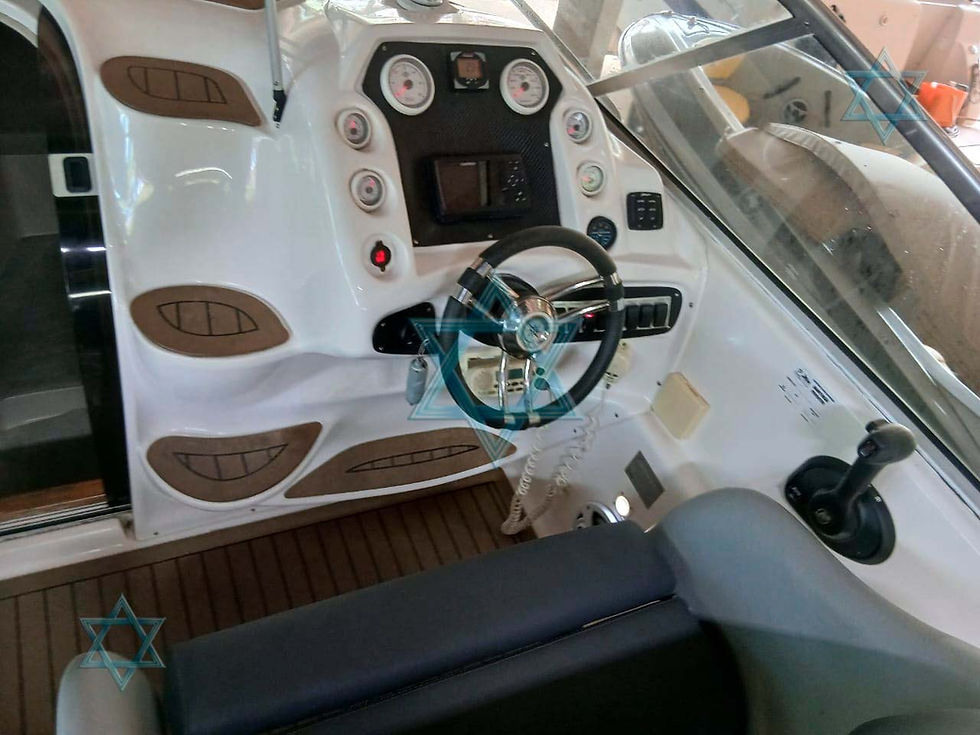 Miniatura: Triton 29