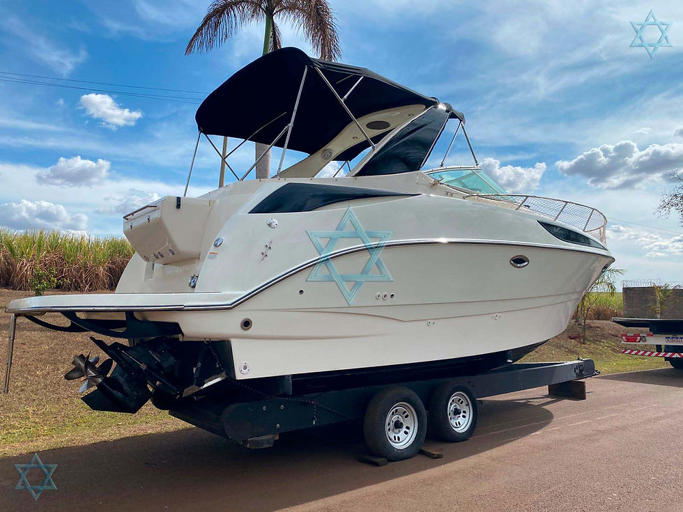 Miniatura: Bayliner 310