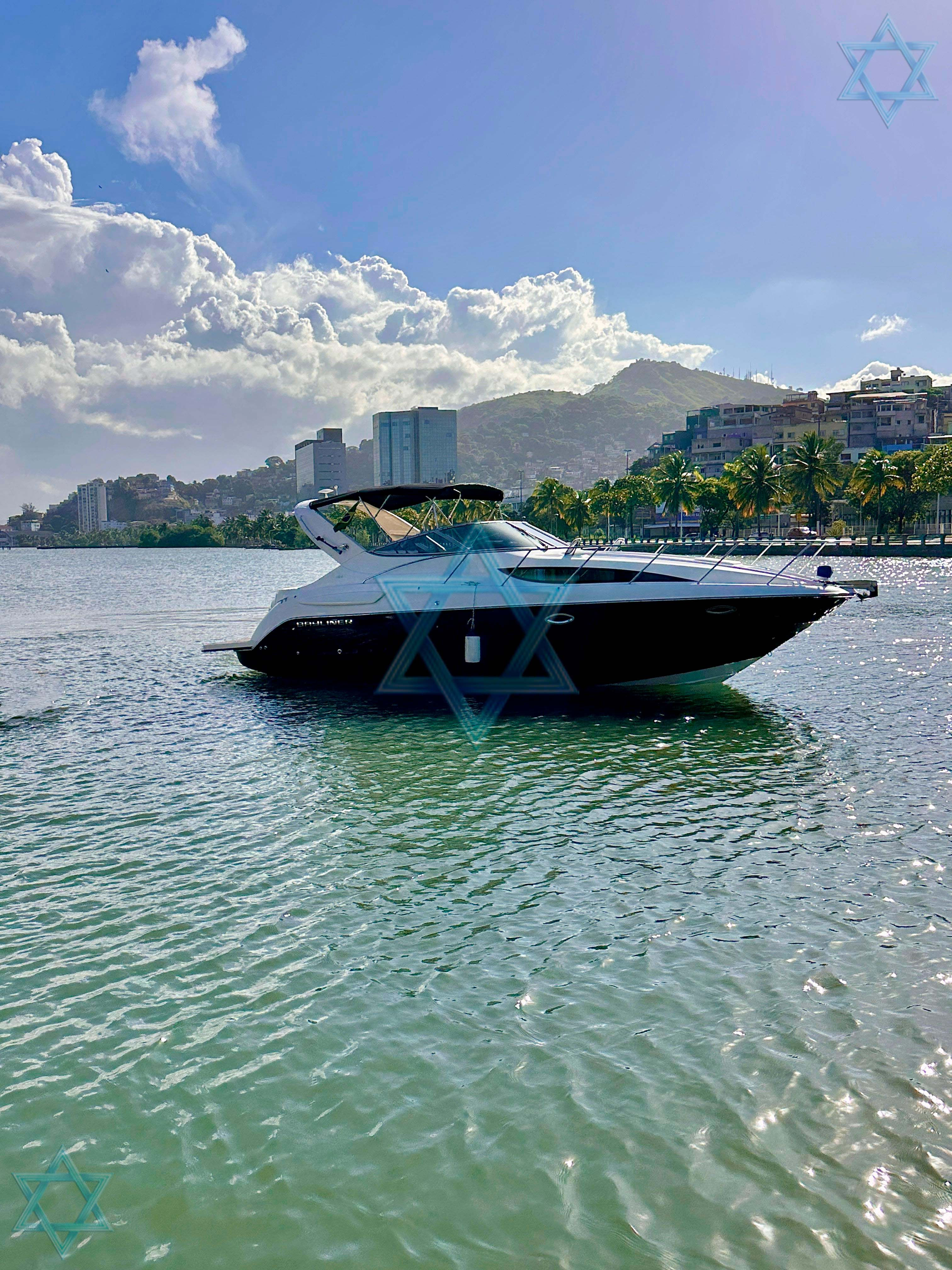 Bayliner 350 US