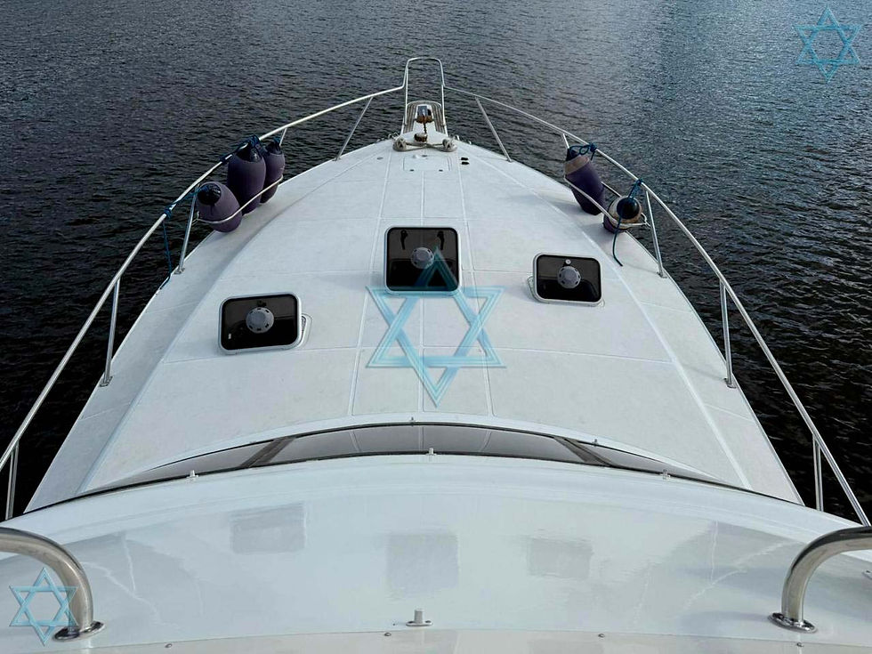 Miniatura: Mares 45