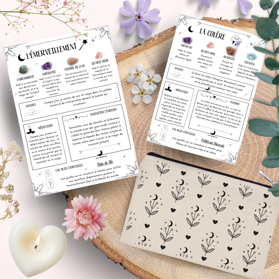 Lot de 12 Fiches émotions Les Moonettes (envoi physique)