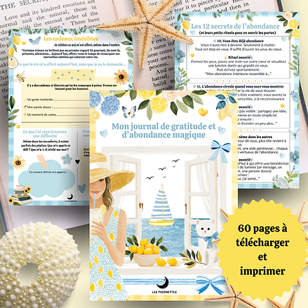 Journal de gratitude et d'abondance Les Moonettes