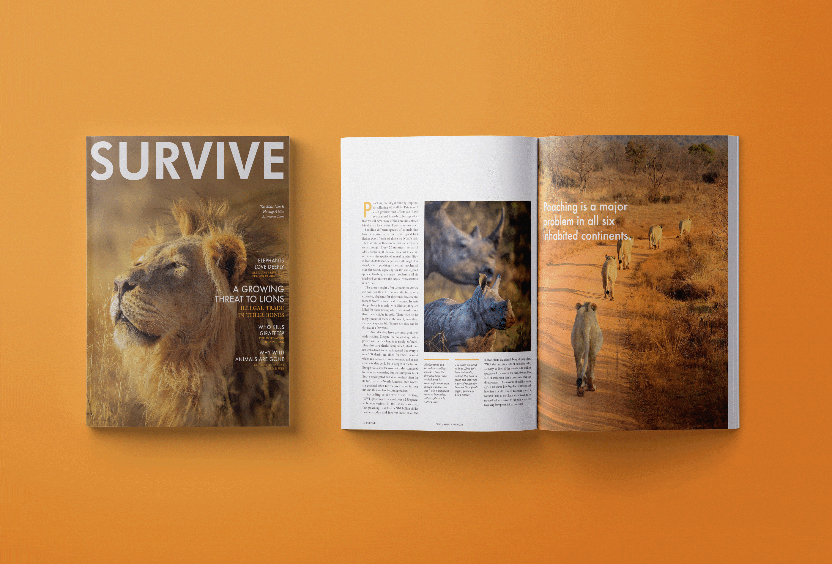MAGAZINE.gif
