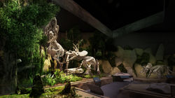 Dinosaur Promotion Center-1