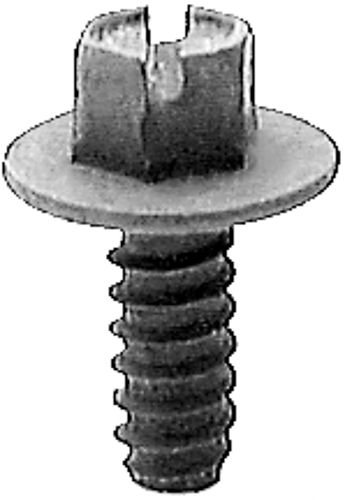 Slotted Hex Washer Head License Plate Screw for Ford N800369-S2 Qty 25