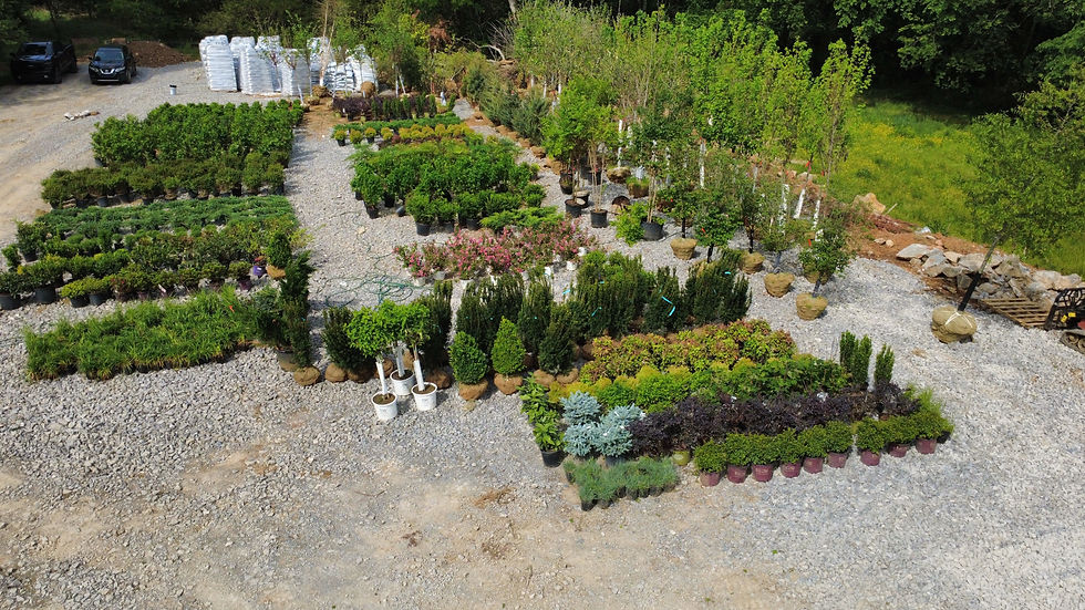 dji_fly_20260430_153524_23_1777581992449_photo_optimized.jpeg