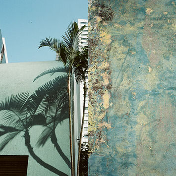 Harold De Puymorin - "Tree" - Signed Limited Edition of 25