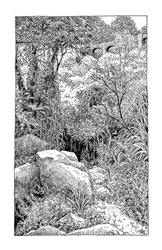 The Ink Trail - "The Explorer" - Limited Edition of 50