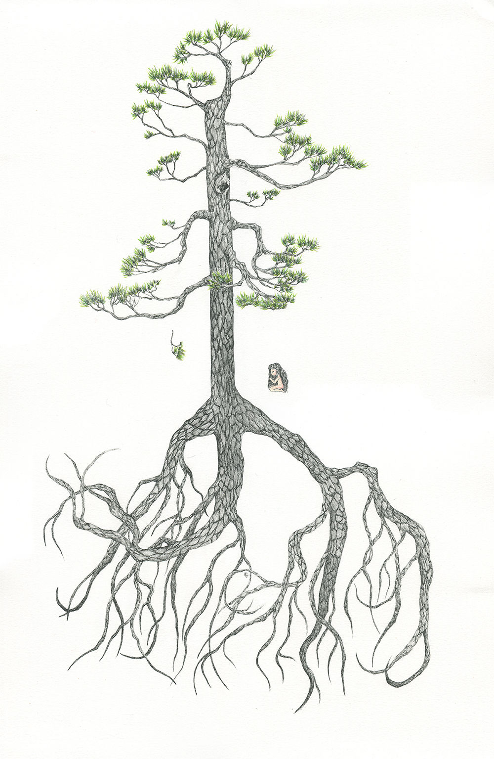 Michelle Kuen Suet Fung  - "Into The Woods XVII: Fallen Pine"