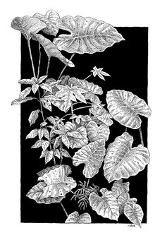 The Ink Trail - "Urban Vegetation"