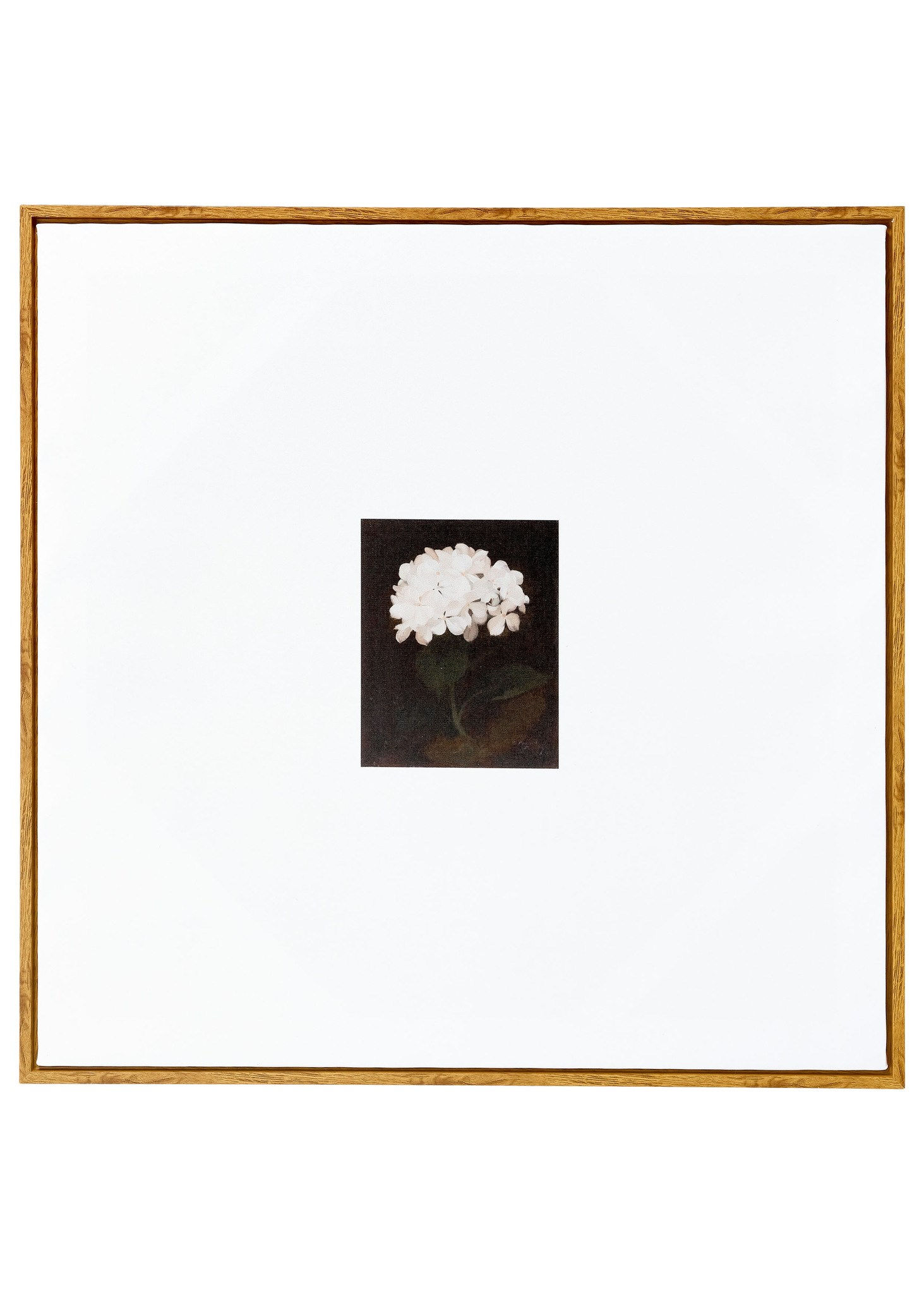 Framed Wall Art Dahli Paint 27.6x27.6