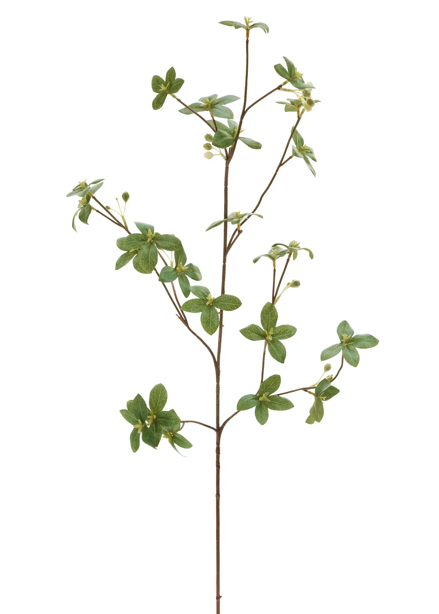 Berry and Leaf Spray